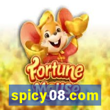 spicy08.com