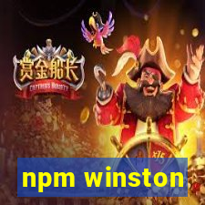 npm winston