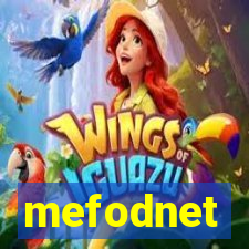 mefodnet