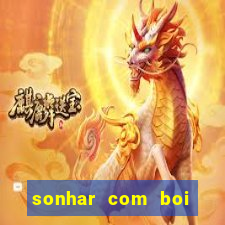 sonhar com boi jogo do bicho