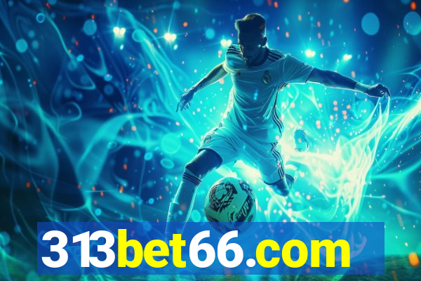 313bet66.com