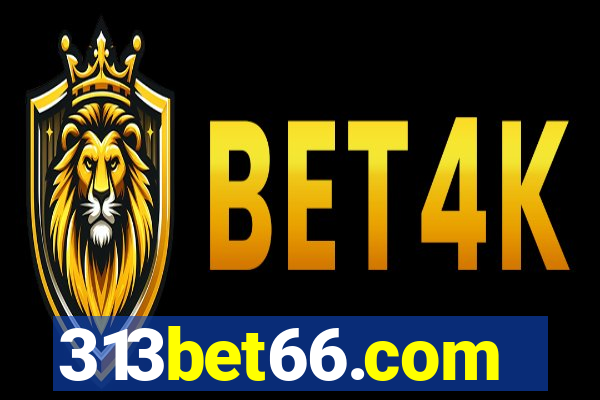 313bet66.com