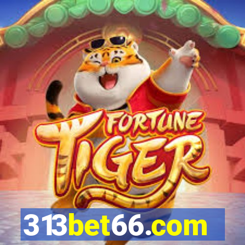 313bet66.com