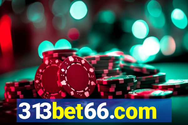 313bet66.com