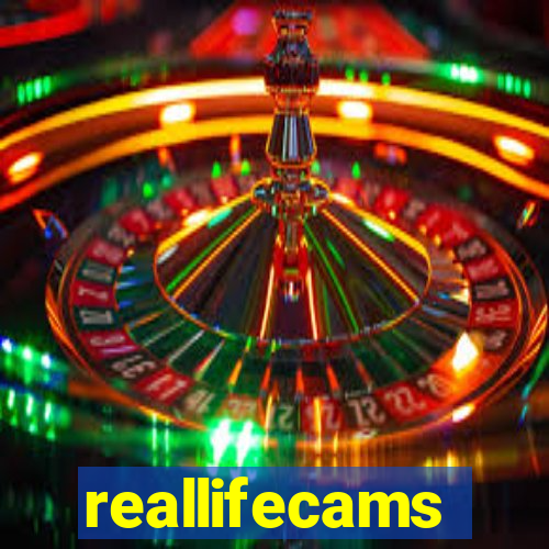 reallifecams