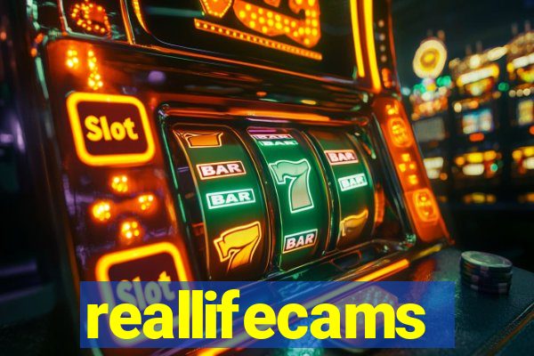 reallifecams