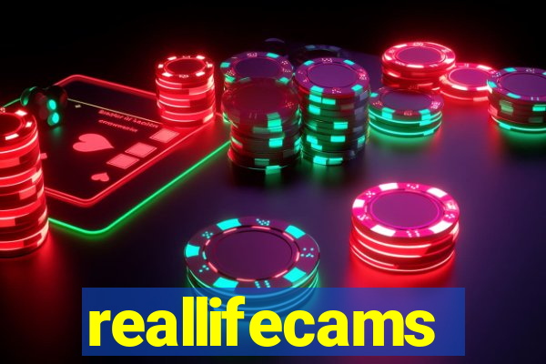 reallifecams