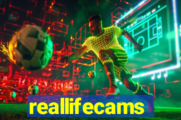 reallifecams