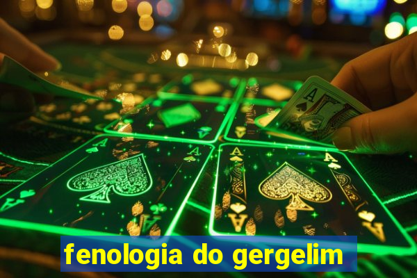 fenologia do gergelim