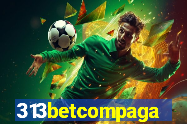 313betcompaga