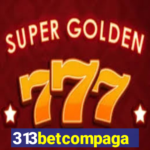 313betcompaga