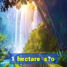 1 hectare s?o quantas tarefas na bahia