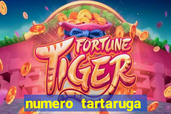 numero tartaruga jogo do bicho