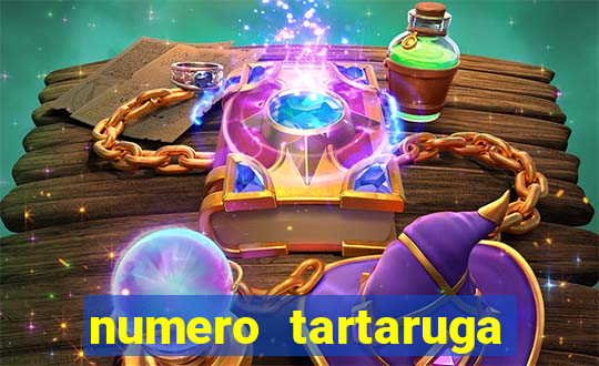 numero tartaruga jogo do bicho