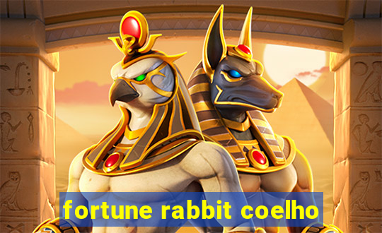 fortune rabbit coelho