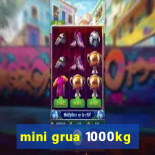 mini grua 1000kg