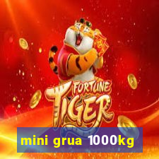 mini grua 1000kg