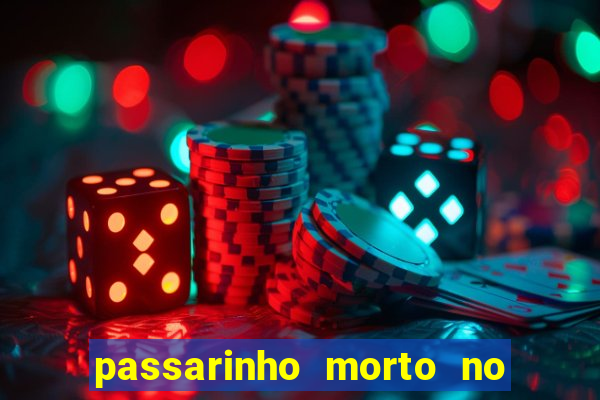 passarinho morto no quintal significado espiritual