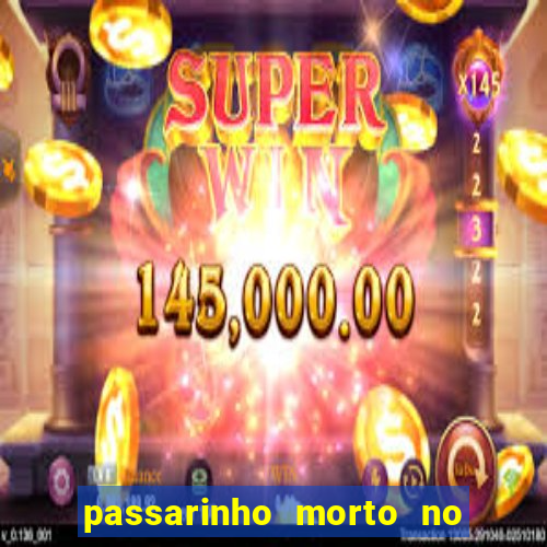 passarinho morto no quintal significado espiritual