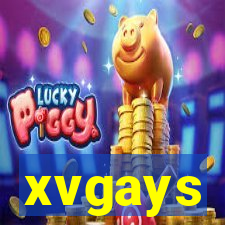 xvgays