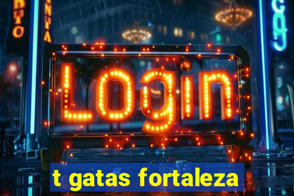 t gatas fortaleza