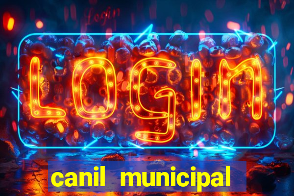 canil municipal porto alegre