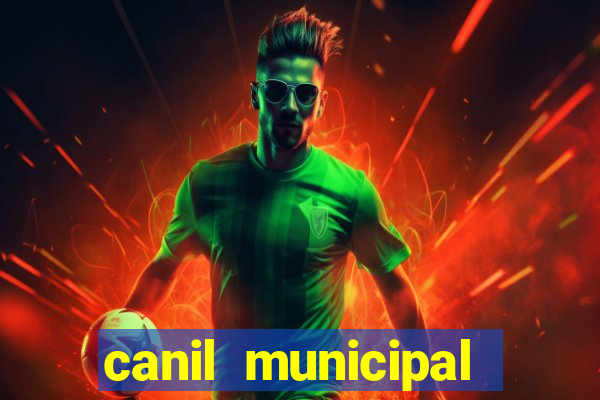 canil municipal porto alegre