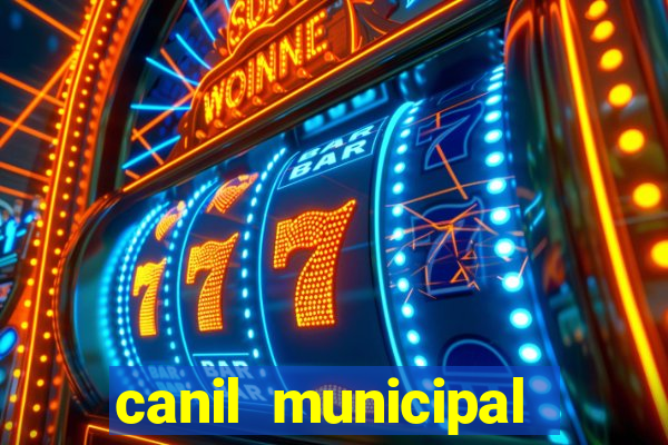 canil municipal porto alegre