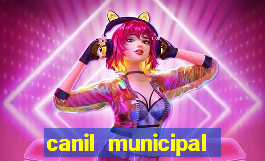 canil municipal porto alegre