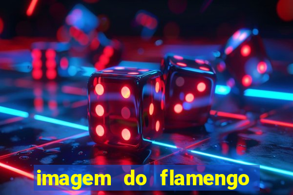 imagem do flamengo para perfil