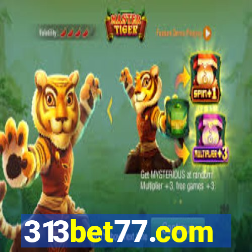 313bet77.com