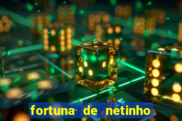 fortuna de netinho de paula