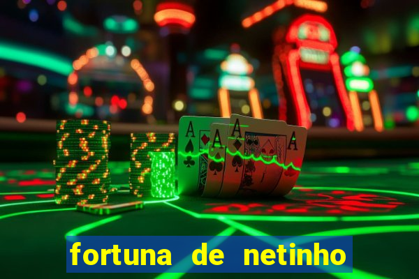 fortuna de netinho de paula