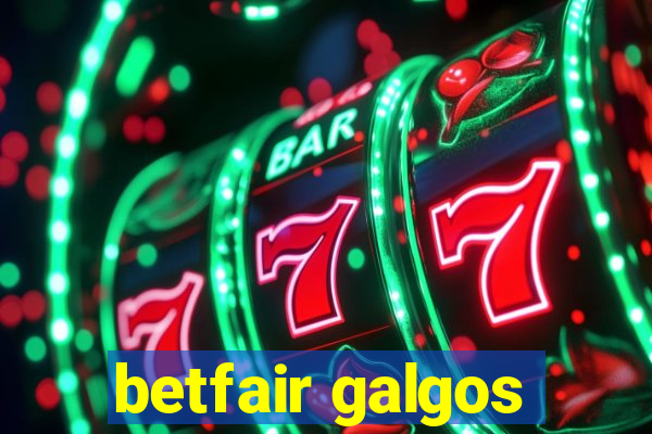 betfair galgos