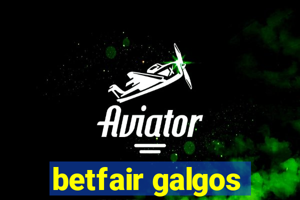 betfair galgos