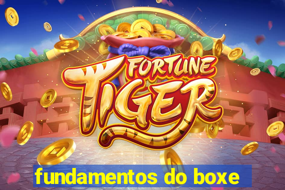 fundamentos do boxe