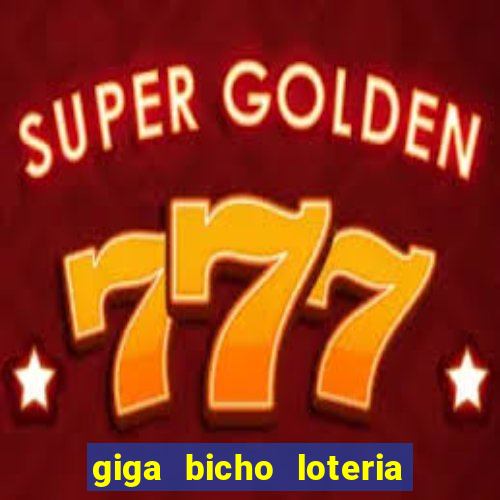 giga bicho loteria dos sonhos