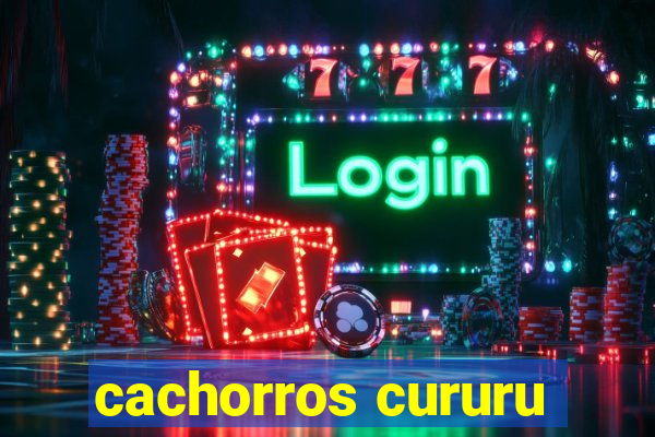 cachorros cururu