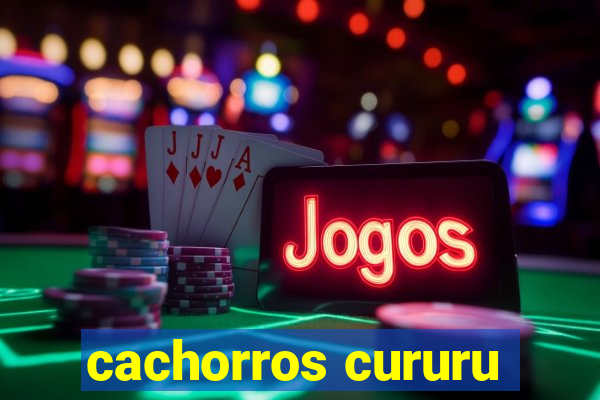 cachorros cururu