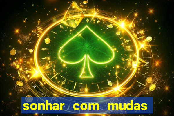 sonhar com mudas de plantas