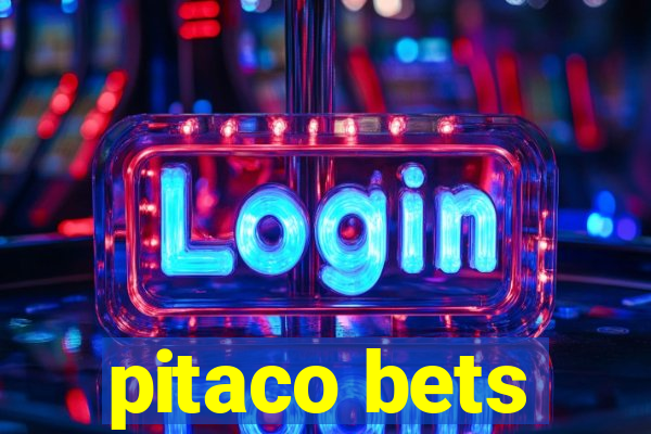 pitaco bets