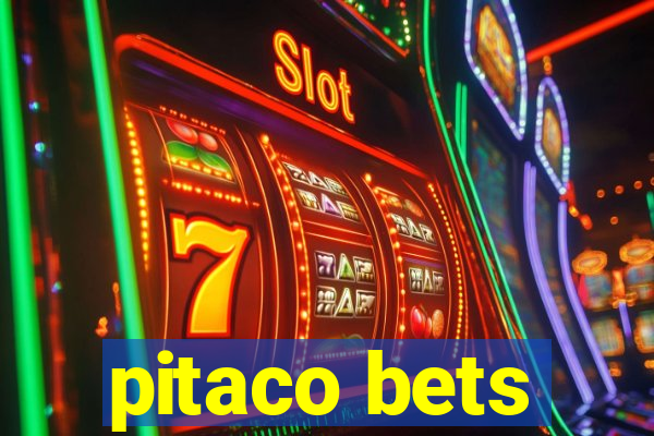 pitaco bets