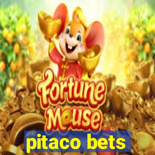 pitaco bets