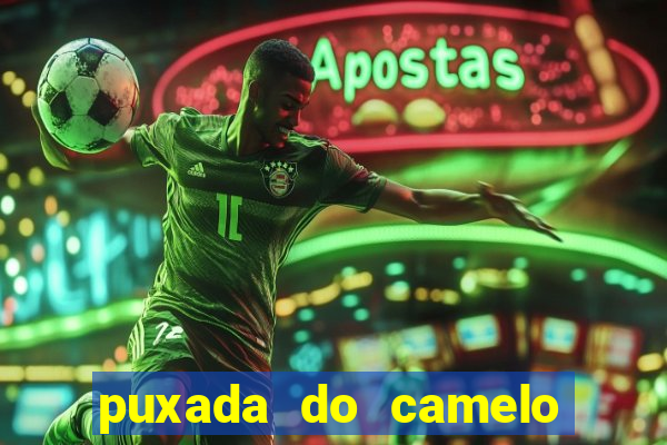 puxada do camelo jogo do bicho