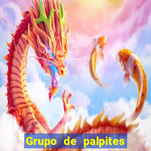 Grupo de palpites de futebol gratis