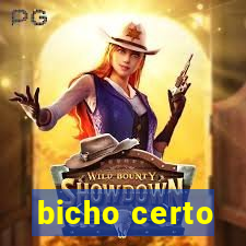 bicho certo