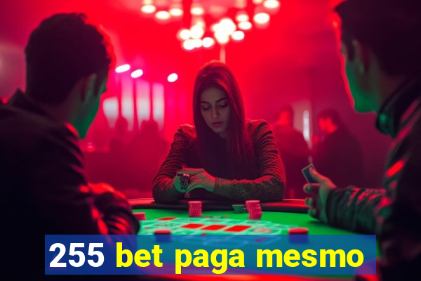 255 bet paga mesmo