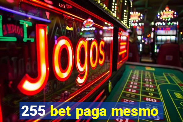 255 bet paga mesmo