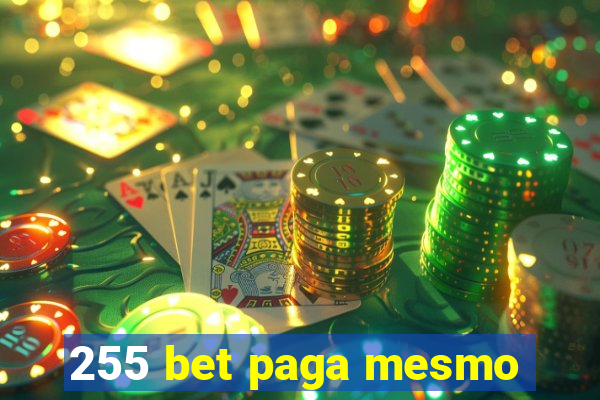 255 bet paga mesmo