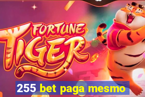 255 bet paga mesmo